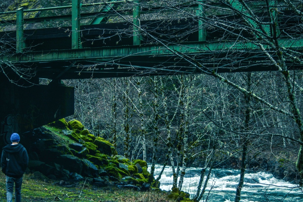 Sous pont, structure, personne, forêt, rivière