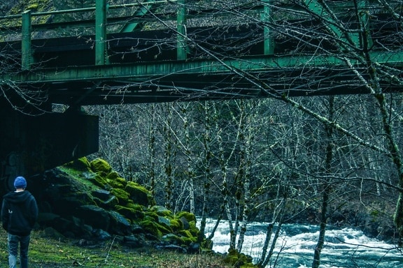under bridge, structure, person, forest, river