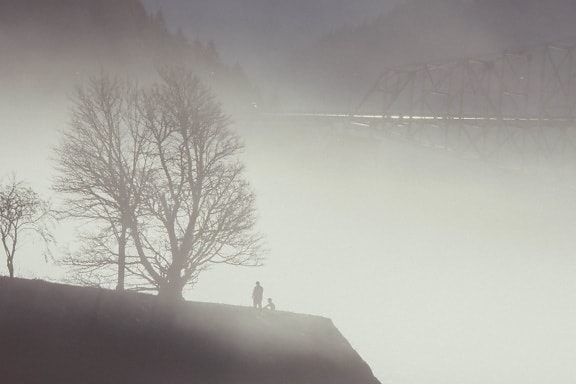 silhouette, men, fog, sky, landscape