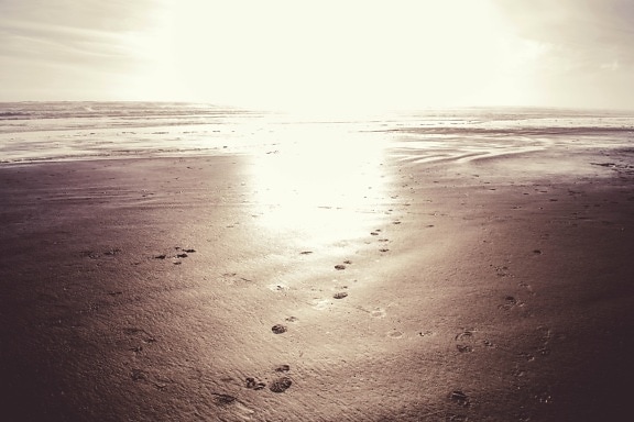 beach, footstep, sand, ocean, water, coast