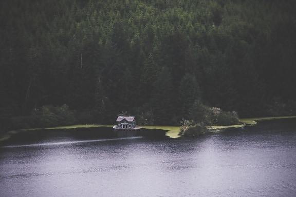 forest, lake, nature, house, water, landscape