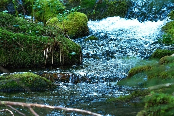 moss, water, nature, river, stream, landscape