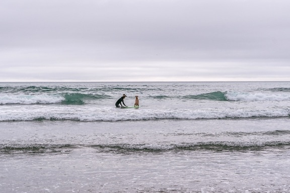 Perro, el practicar surf, agua, mar, onda, océano, playa, costa, orilla, arena, costa
