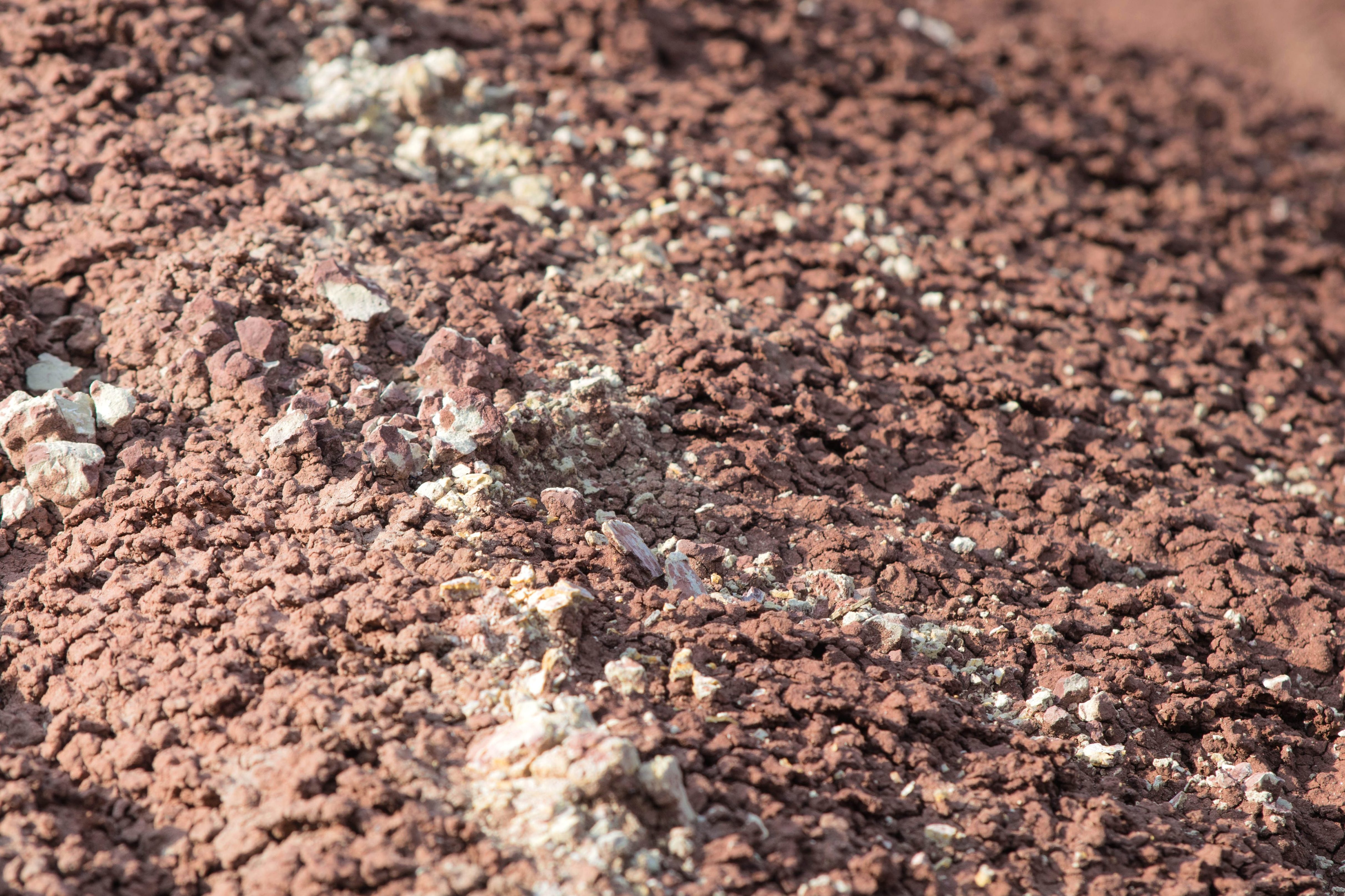 フリー写真画像 溶岩 底質 土壌 地面 テクスチャ 素材
