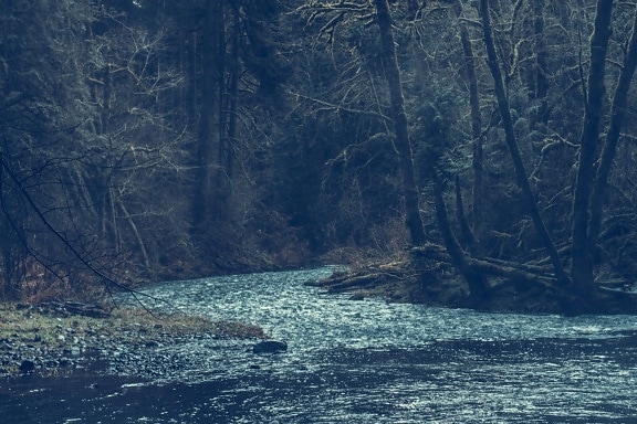 Річка Вода краєвид, дерево, природи, ліс