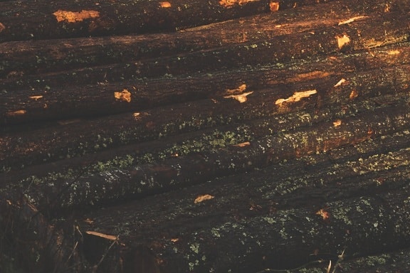 tømmer, brænde, brun, træ