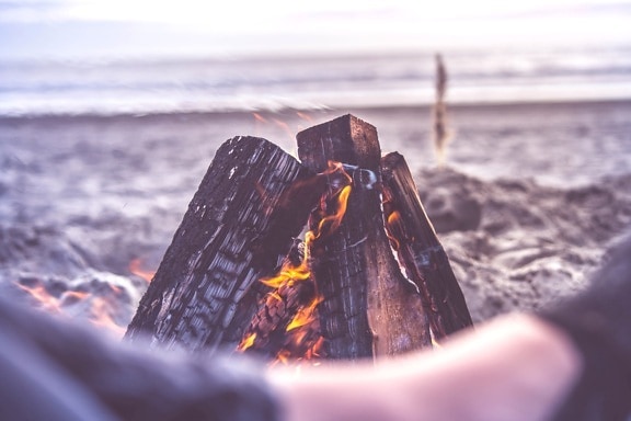 firewood, campfire, heat, water, sea, ocean, flame