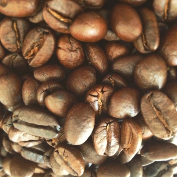 กาแฟ อาหาร คาเฟอีน เครื่องดื่ม เอสเพรสโซ เมล็ดพันธุ์ คาปูชิโน่ รสชาติ