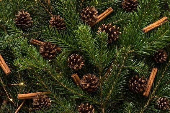 Navidad, pino, invierno, árbol de hoja perenne, abeto, cono, árbol, conífera