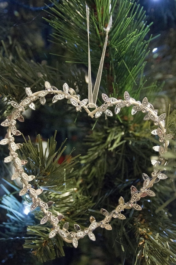 дерево, Різдво, свято, прикраса, зима, вічнозеленому, conifer, відділення, сосни