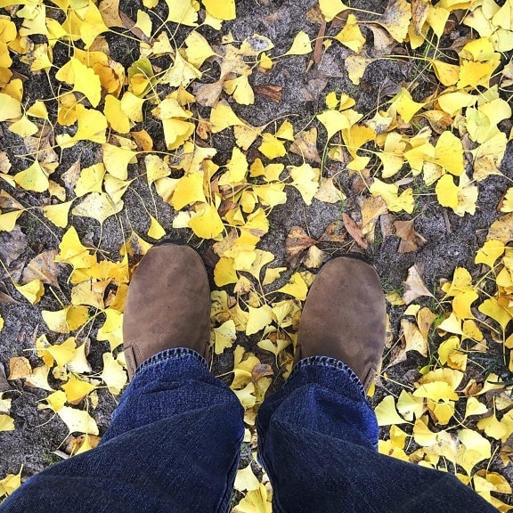 лист, загрузки, обувь, брюки, осень