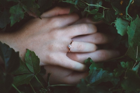 ръка, пръстен, зелени листа, тъмно, сянка