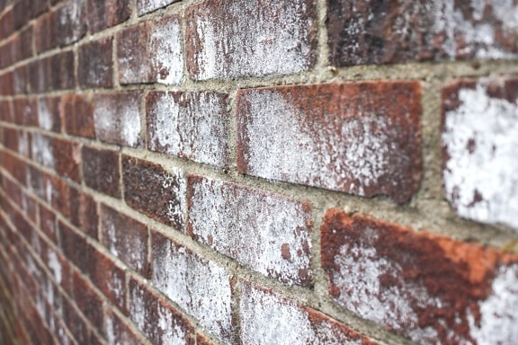 zid cigla, stara, teksture, izraz, prljavi, kamena, uzorak, cementa
