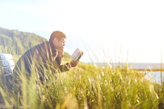 man, field, grass, nature, summer, sky, book