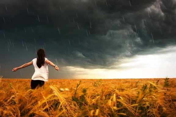Kobieta, rolnictwo, deszcz, chmury, zachód słońca, niebo