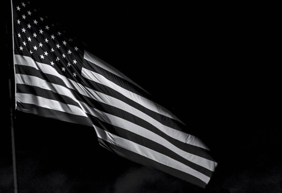 zastava, patriotizam, sad, crno-bijeli