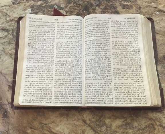 book, scripture, old, text, page, knowledge, literature