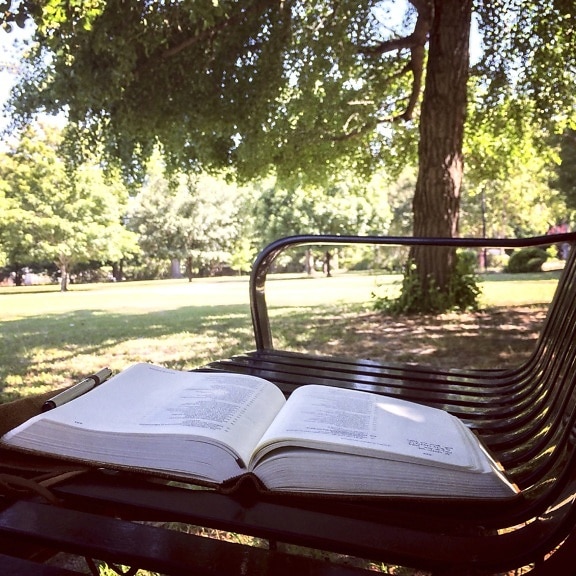 book, bench, seat, furniture, park, chair, tree, summer