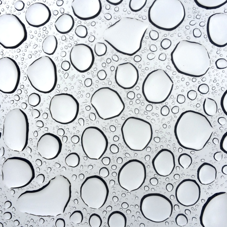 bubbla, våt, flytande, droplet