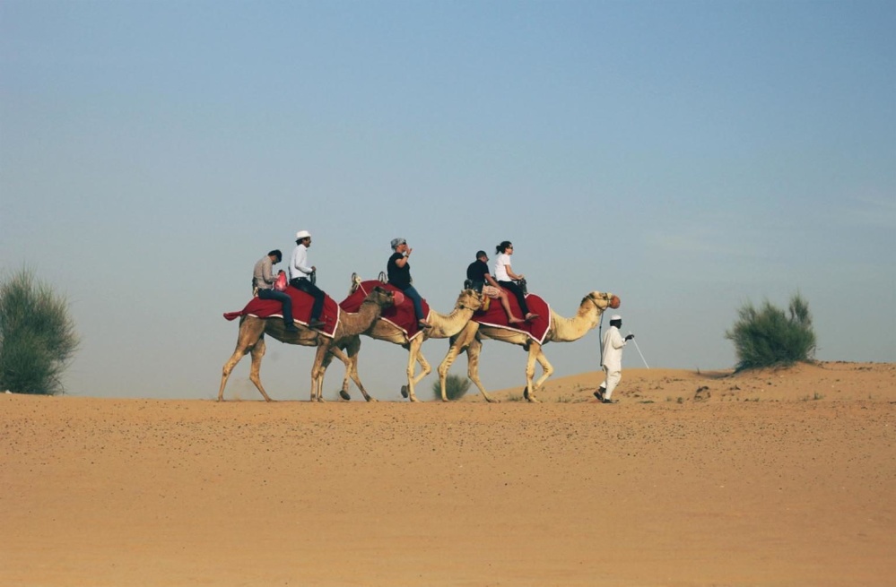 Beduino, aventura, playa, arena, desierto, camello