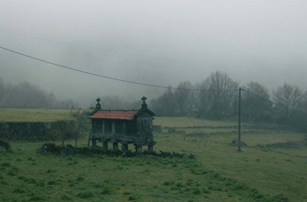 temető, mező, köd, vidék, táj, köd