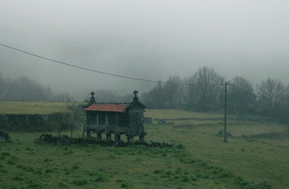 graveyard, field, fog, countryside, landscape, mist
