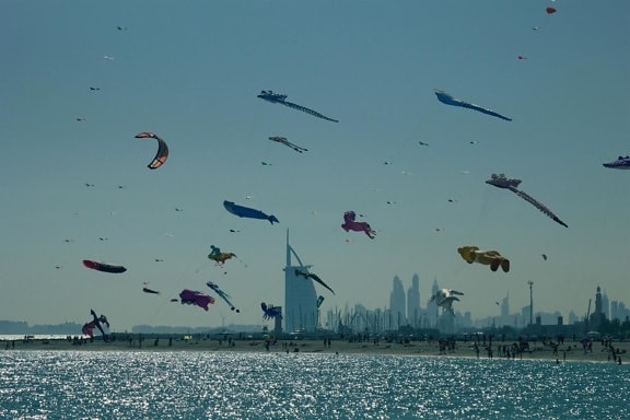 kite, recreation, dusk, water, bird, landscape, sea, ocean, sky