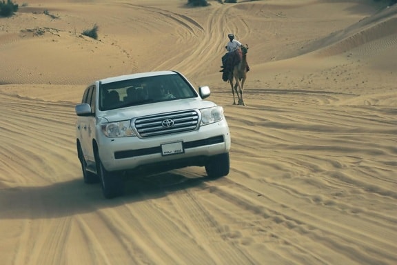 砂丘、車、アジア、観光、砂、砂漠、ビーチ、車