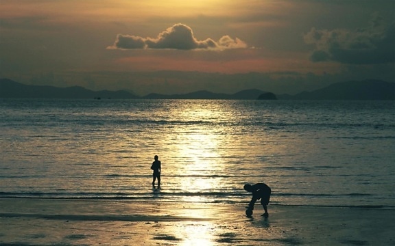 silhouette, sunset, water, dawn, beach, sea, backlit, ocean, dusk, shore, sky
