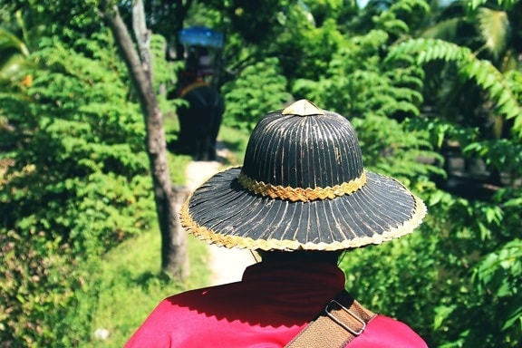 person, hat, Asia, fashion, nature, wood, summer, leaf