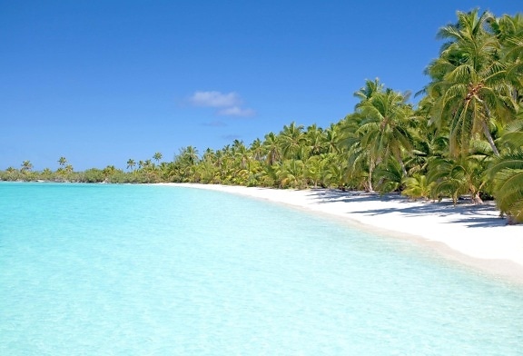 strand, sand, øen, seashore, ocean, vand, træ, seascape, lagoon