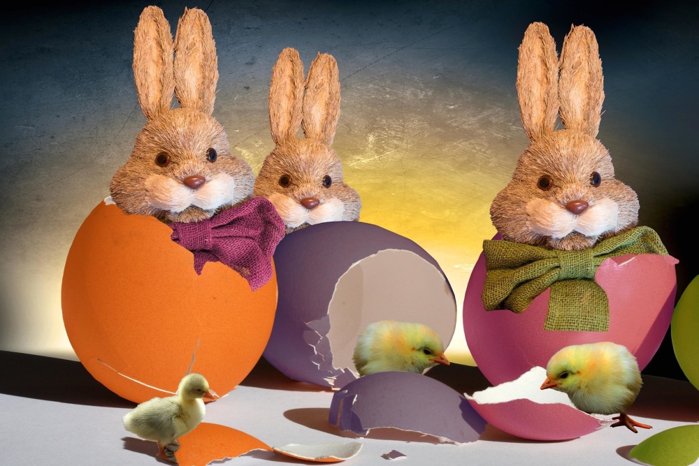Veľkonočný králik, zajačik, vajíčko, fotomontáž