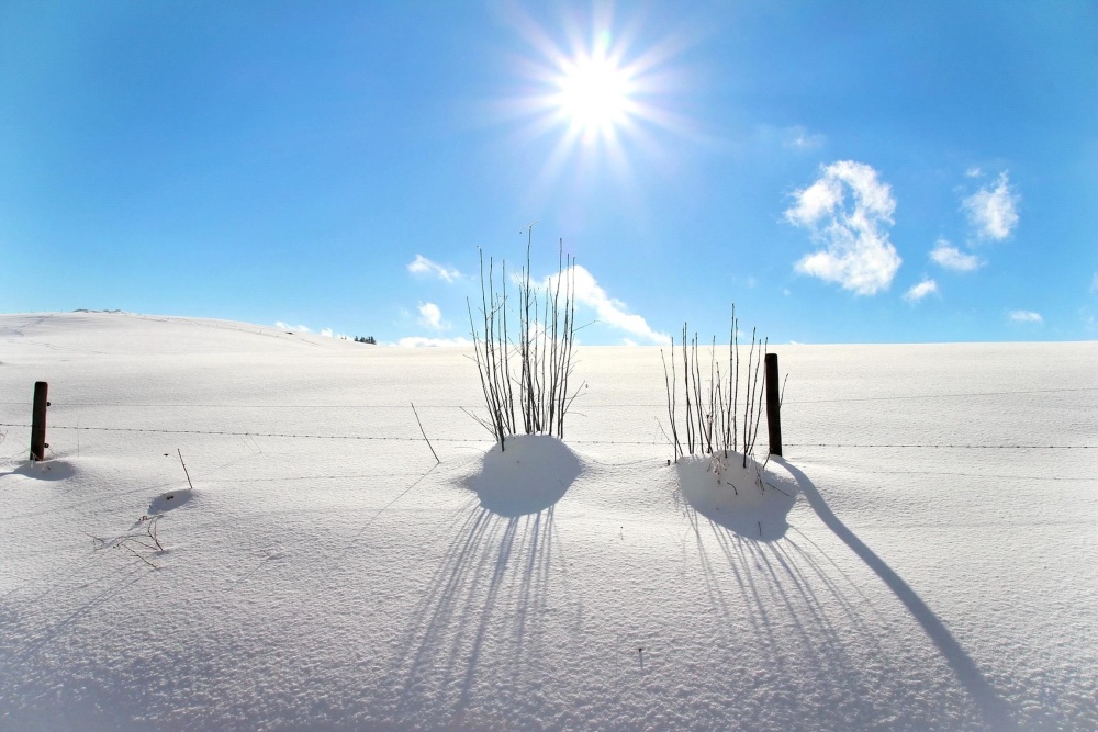Hình ảnh miễn phí: tuyết, mùa đông, sương giá, lạnh, phong cảnh, bị đóng  băng, băng, bầu trời