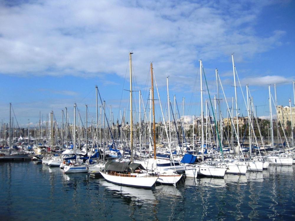Marina, havn, yacht, pier, sejlbåd, havet, sommer, vand, båd