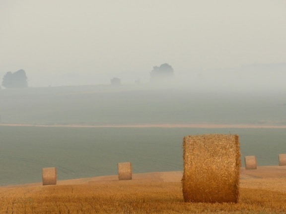 Tramonto, cielo, nebbia, paesaggio, agricoltura, campo