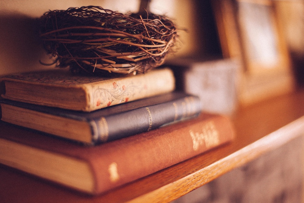 znalosti, dřevo, knihovna, kniha, literatura, moudrost, vzdělání
