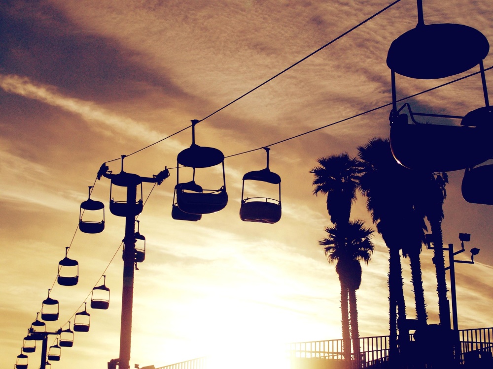 Chạng vạng, dây điện, palm tree, hoàng hôn, khu đô thị, trên bầu trời, silhouette