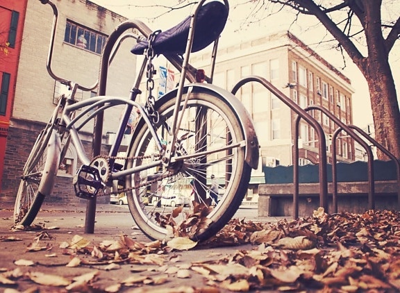 bicycle, street, old, road, vehicle, urban, city