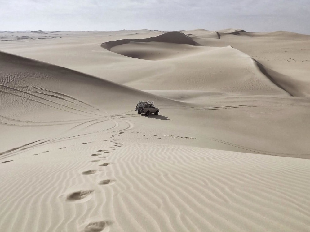 Sable, désert, dunes de sable, empreinte, terre-à-terre, voiture, tourisme, aventure, paysage