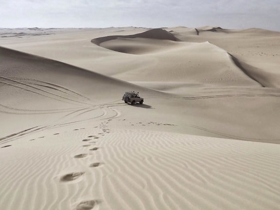 песок, пустыня, дюны, след, пустырь, автомобиль, туризм, приключения, пейзаж
