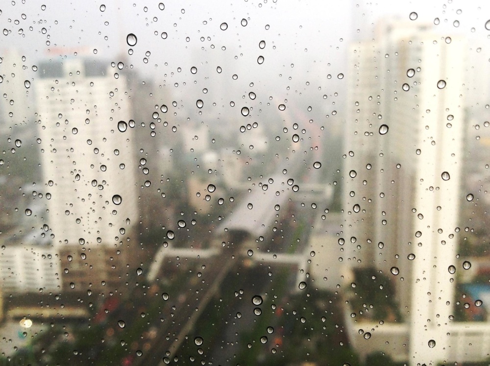 regn, glas, fönster, dagg, gata, stad, våt