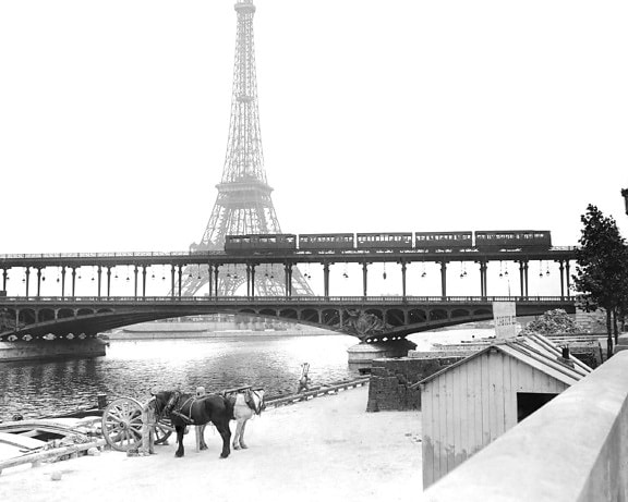 คน ปารีส สถาปัตยกรรม ทาวเวอร์ เก่า ประวัติศาสตร์ สถาปัตยกรรม แม่น้ำ