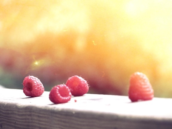 food, sweet, fruit, sunshine, berry, delicious, nature