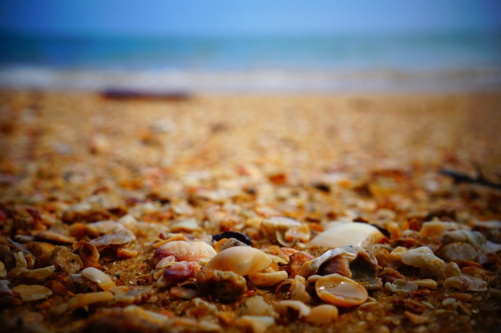 mar, praia, rochas, praia, concha, chão, solo