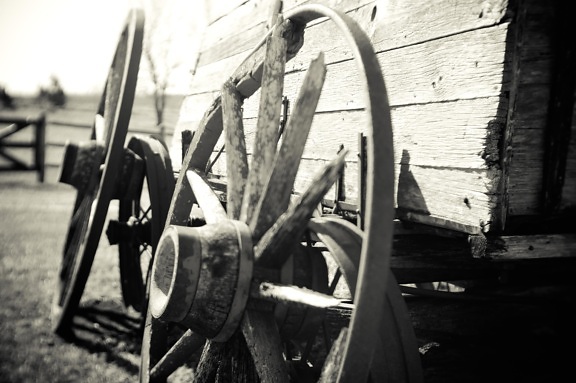 monochrome, wheel, vehicle, carriage, old, history, transport