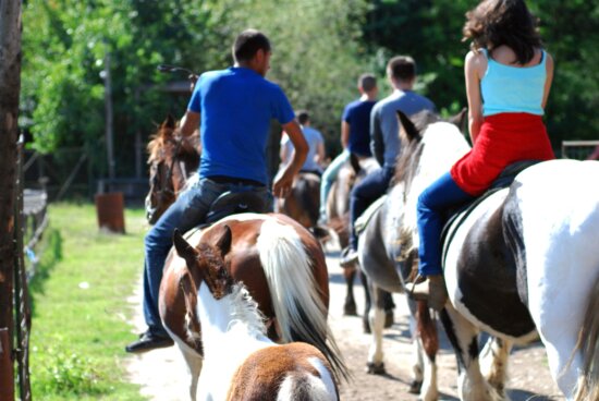 cavalry, woman, horse, animal, people, recreation