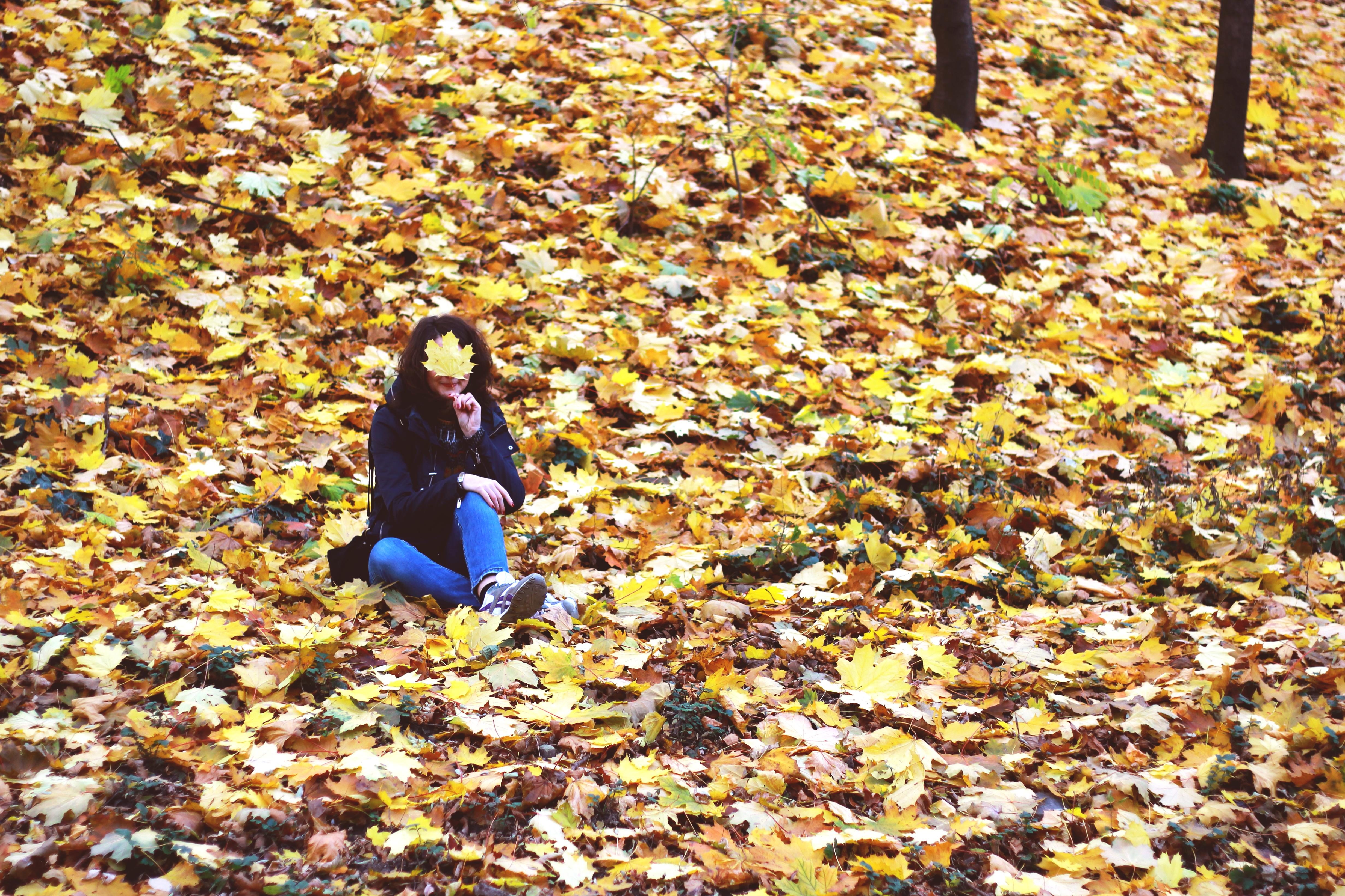 Брюнетка осенью с листьями