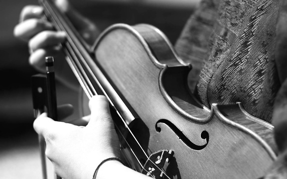 músico, instrumento, clássico, violino, madeira, música, som, mão, preto e branco, sépia