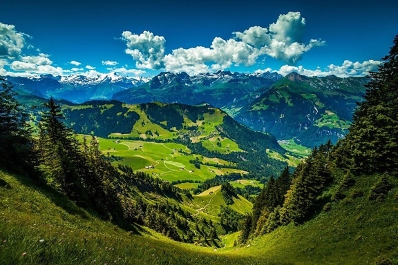 Paesaggio, montagna, natura, legno, picco di montagna, prato, erba verde, paesaggio