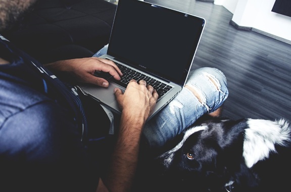 Uomo, interni, cane, computer portatile, lavoro, tecnologia